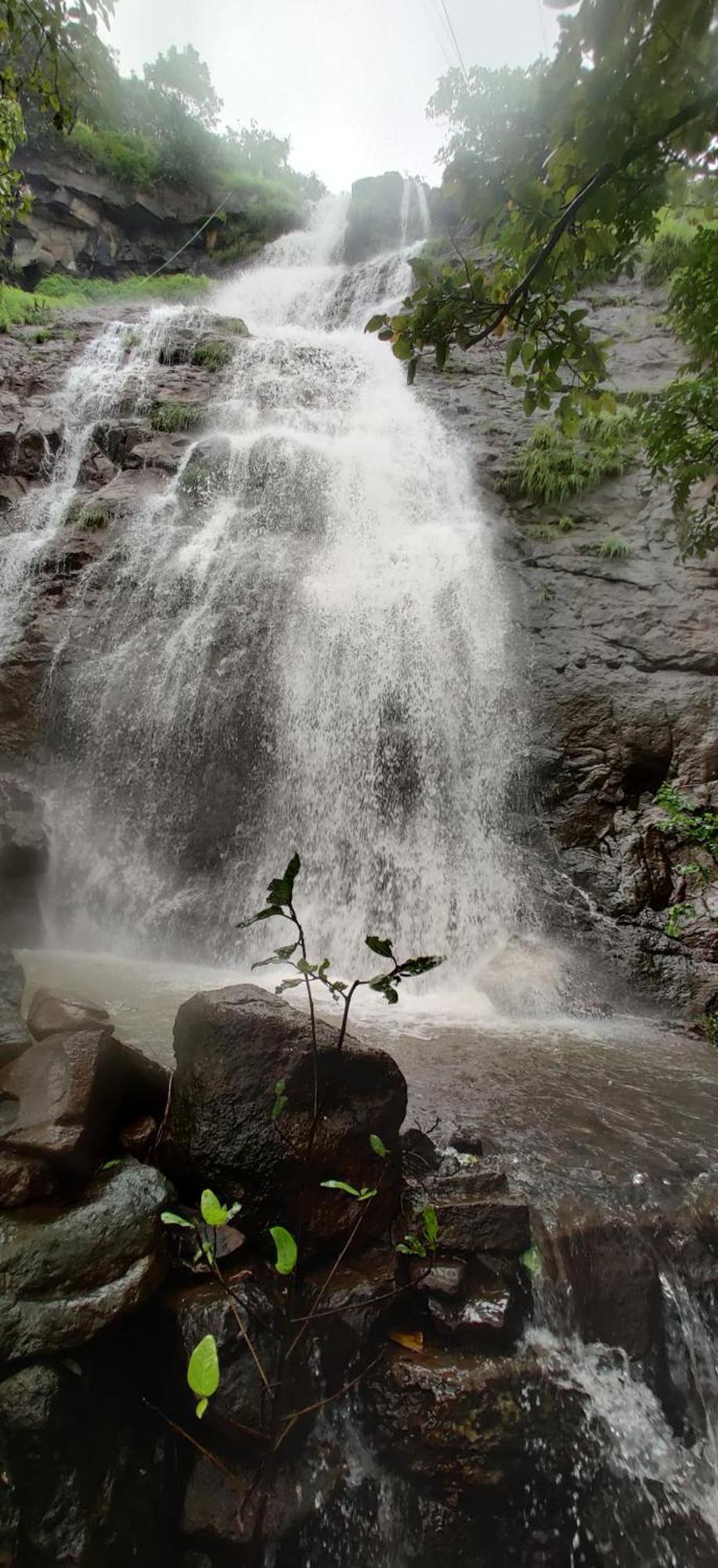 Вилла Forest Den Пуна Экстерьер фото
